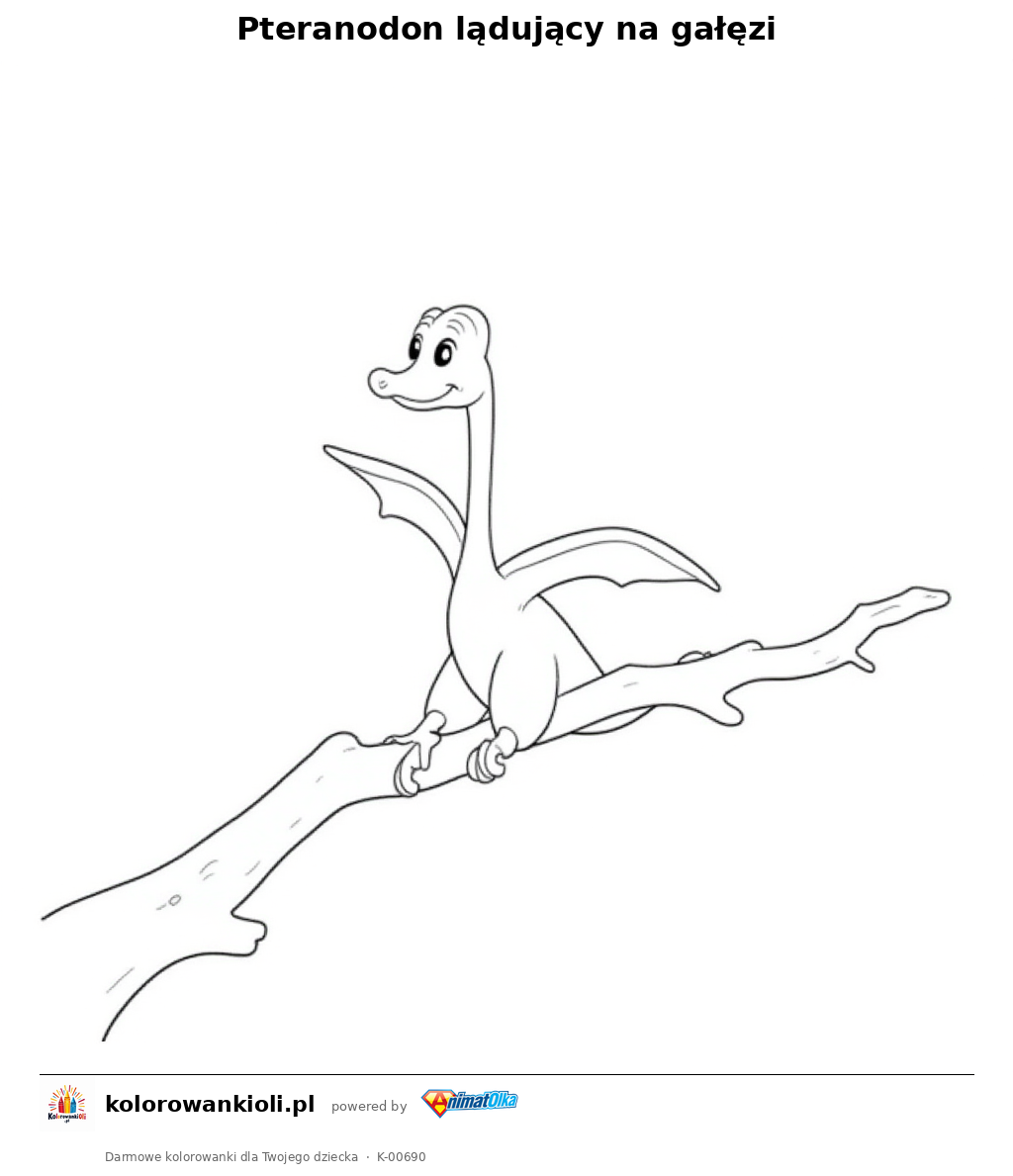 Pteranodon lądujący na gałęzi — kolorowanka do wydruku dla dzieci