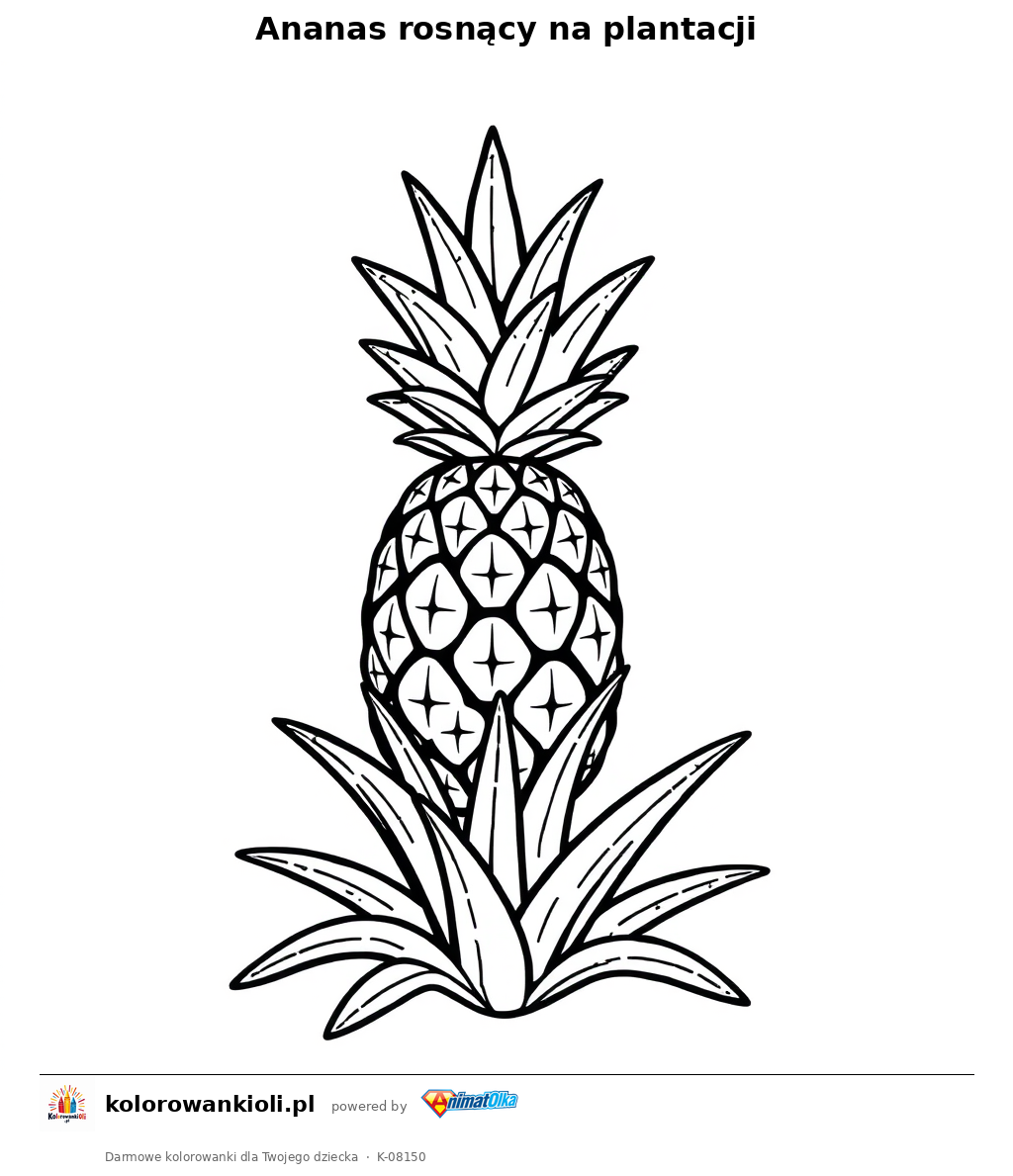 Ananas rosnący na plantacji — kolorowanka do wydruku dla dzieci