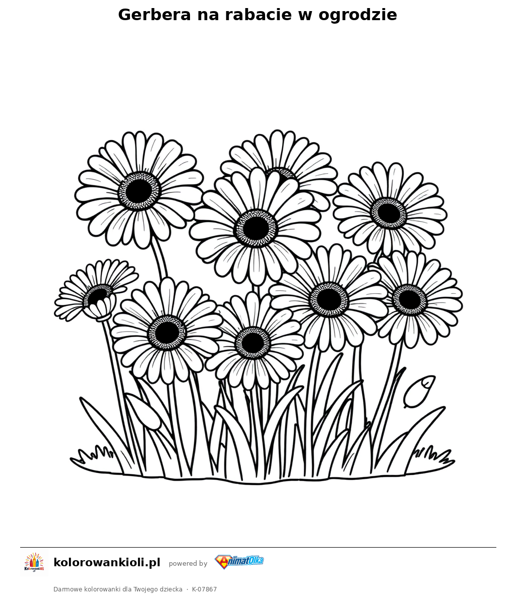 Gerbera na rabacie w ogrodzie — kolorowanka do wydruku dla dzieci