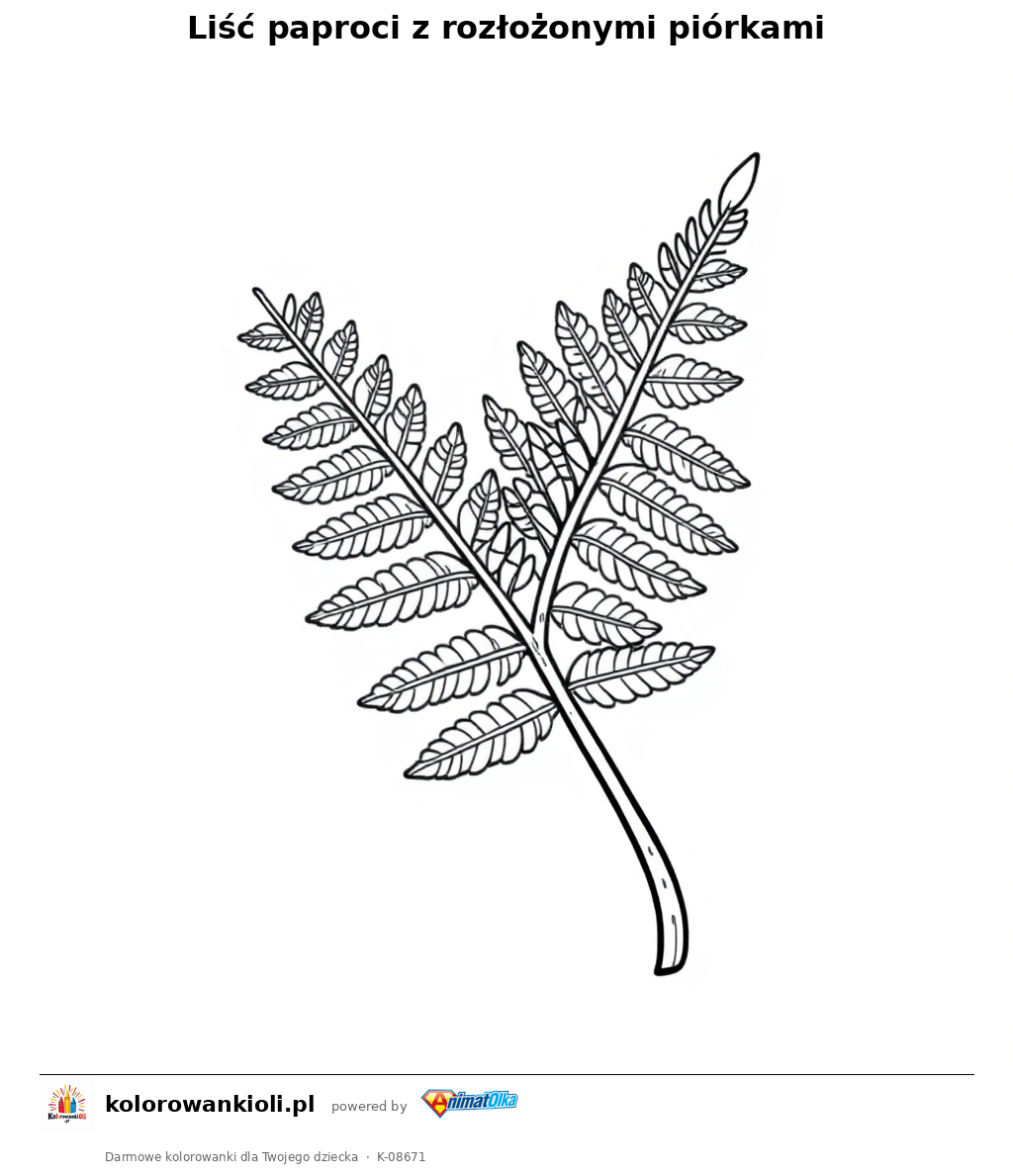 Liść paproci z rozłożonymi piórkami — kolorowanka do wydruku dla dzieci