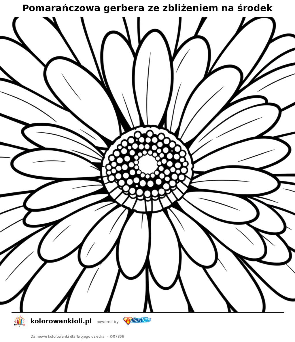 Pomarańczowa gerbera ze zbliżeniem na środek — kolorowanka do wydruku dla dzieci