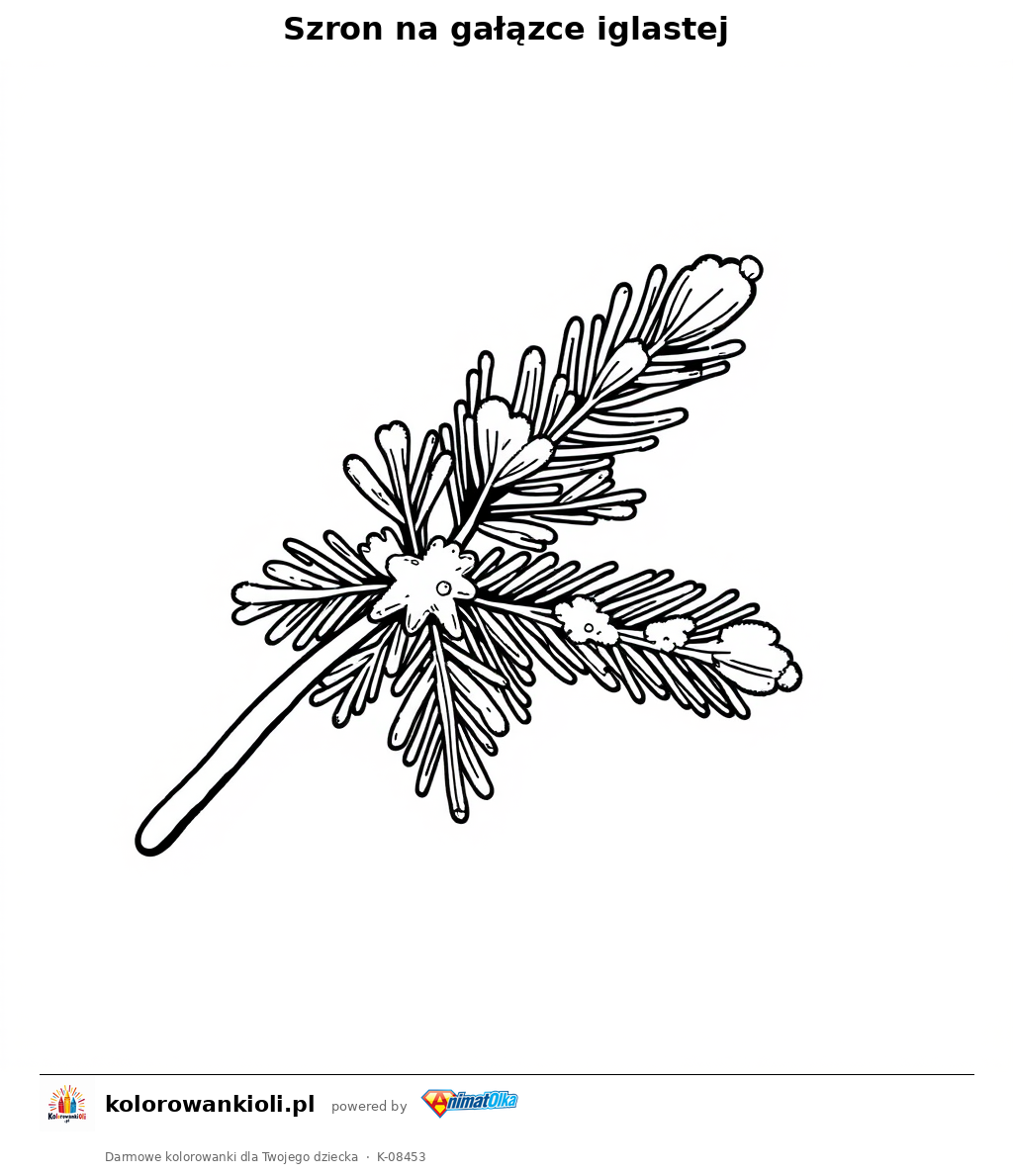 Szron na gałązce iglastej — kolorowanka do wydruku dla dzieci