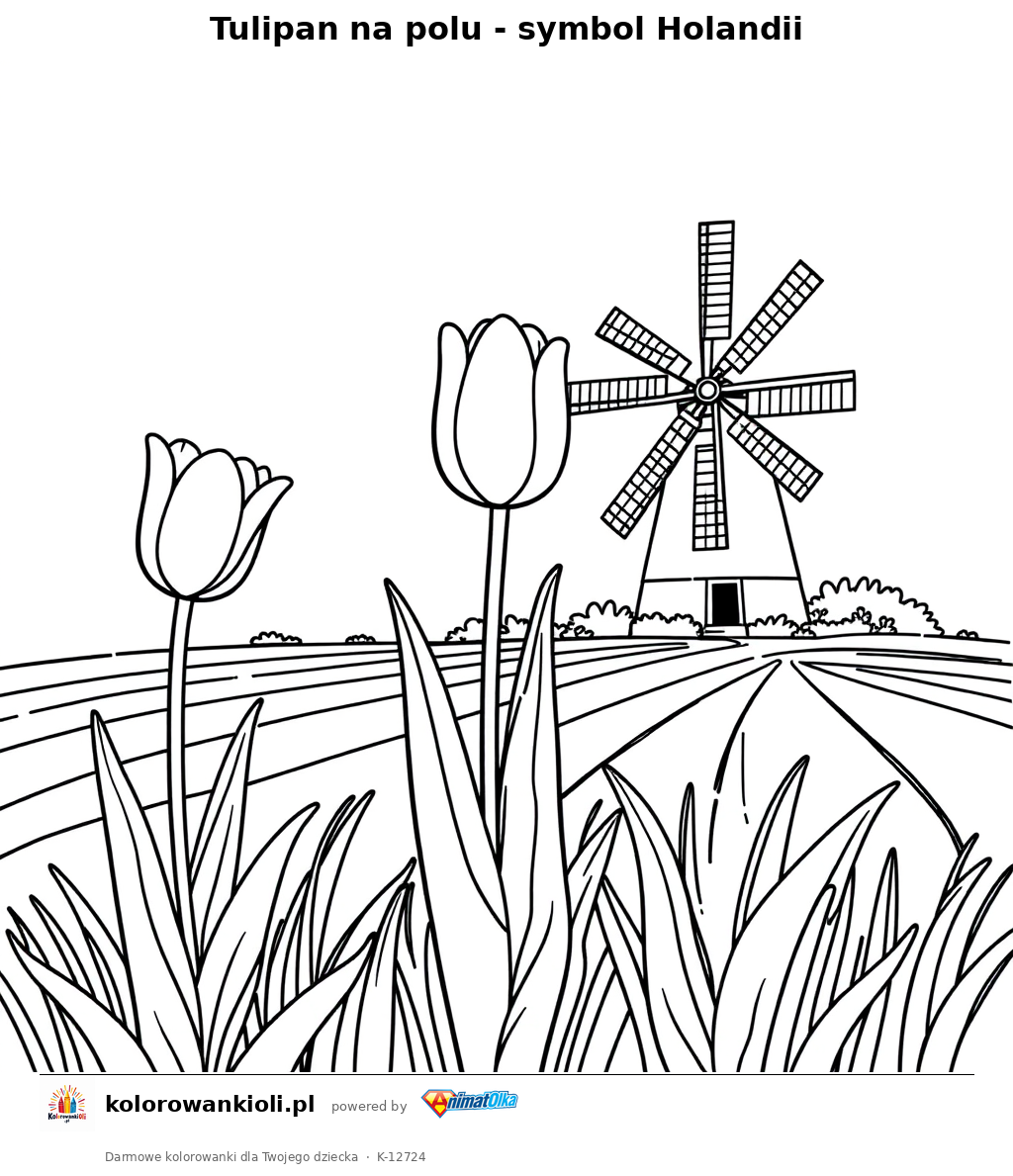 Tulipan na polu - symbol Holandii — kolorowanka do wydruku dla dzieci