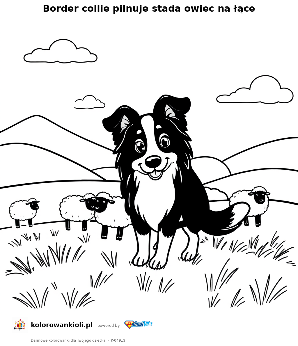 Border collie pilnuje stada owiec na łące — kolorowanka do wydruku dla dzieci