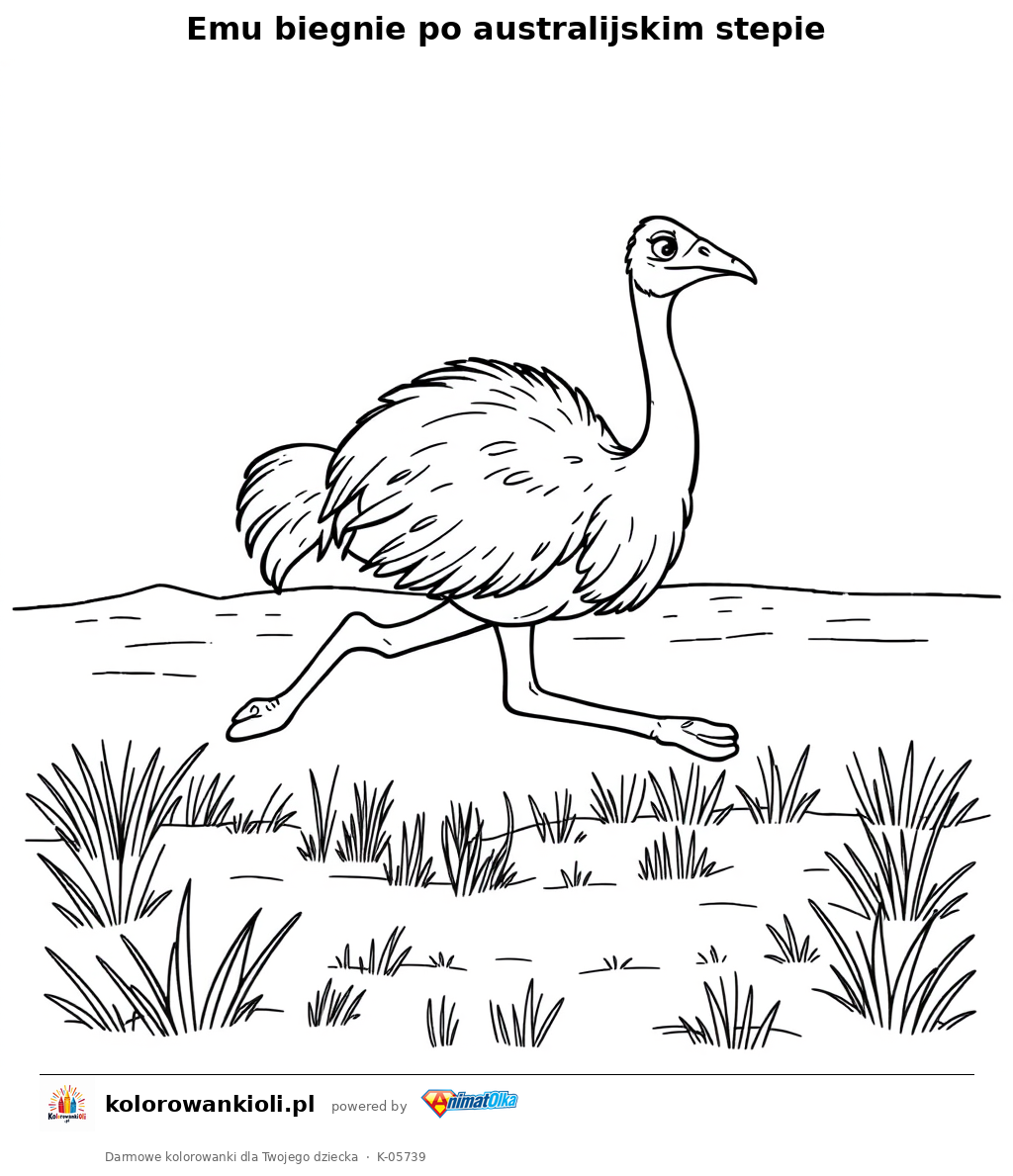 Emu biegnie po australijskim stepie — kolorowanka do wydruku dla dzieci