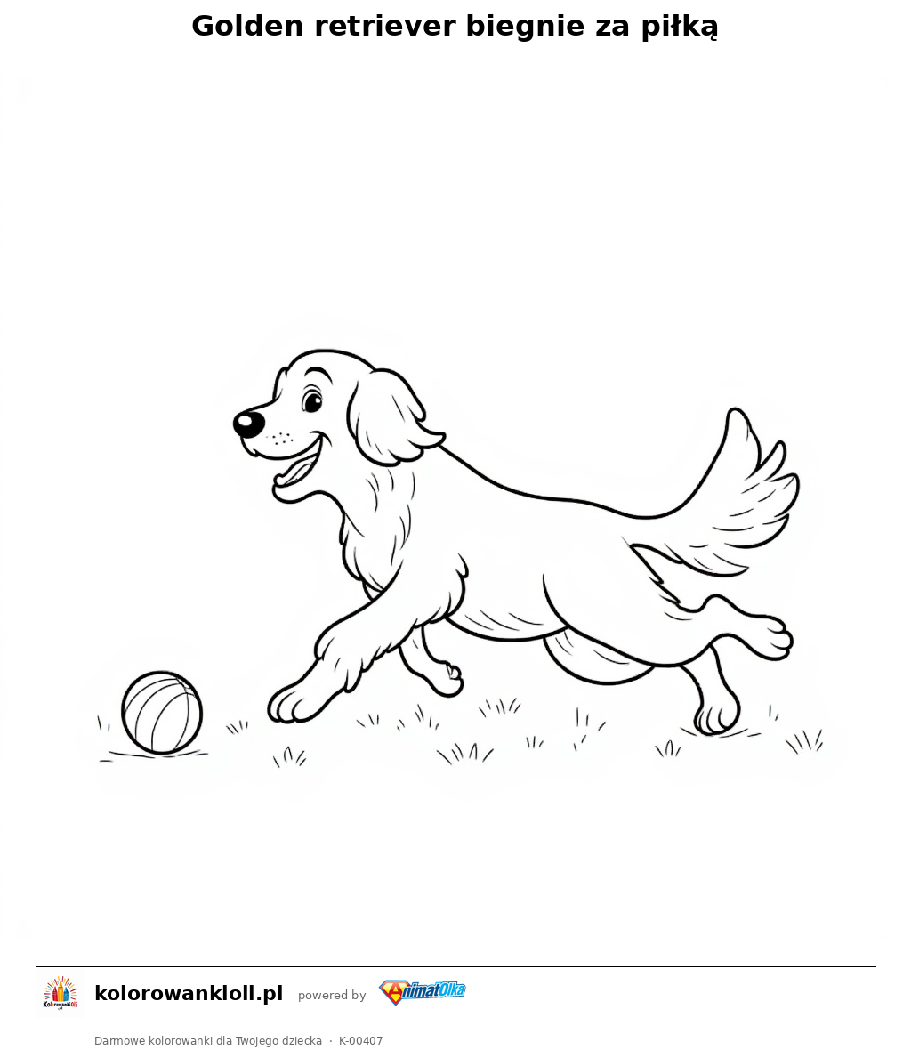 Golden retriever biegnie za piłką — kolorowanka do wydruku dla dzieci