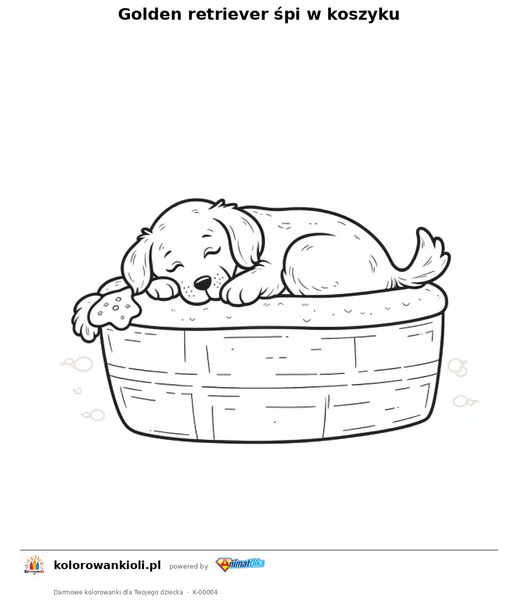 Golden retriever śpi w koszyku — kolorowanka do wydruku dla dzieci