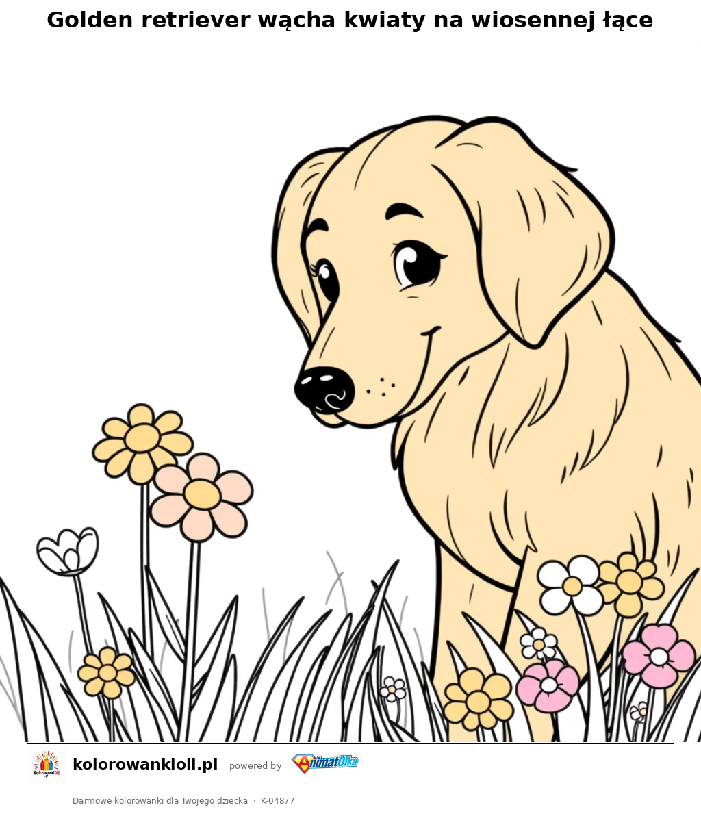 Golden retriever wącha kwiaty na wiosennej łące — kolorowanka do wydruku dla dzieci