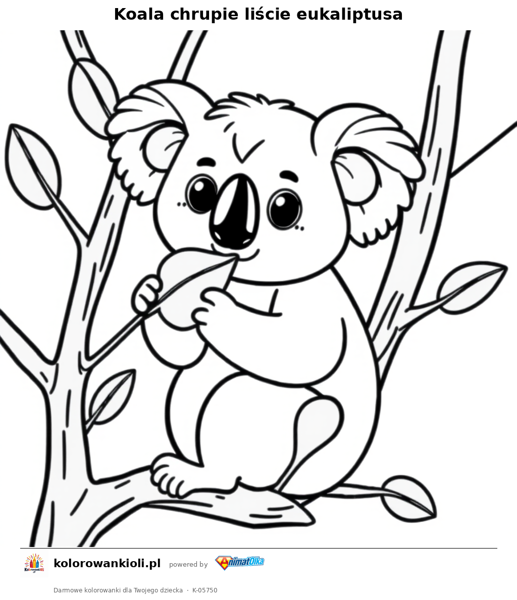 Koala chrupie liście eukaliptusa — kolorowanka do wydruku dla dzieci