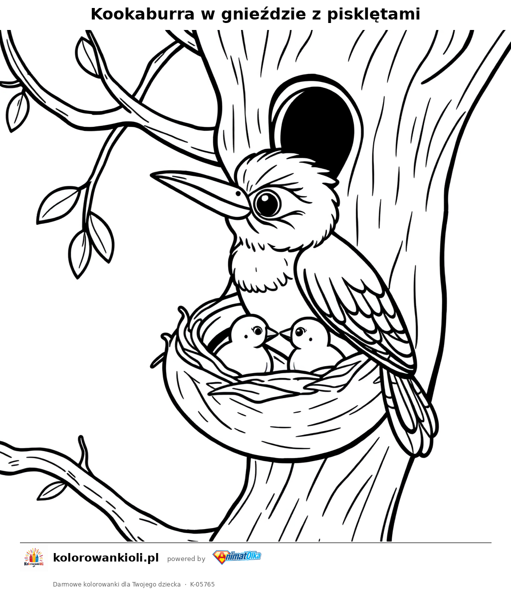 Kookaburra w gnieździe z pisklętami — kolorowanka do wydruku dla dzieci