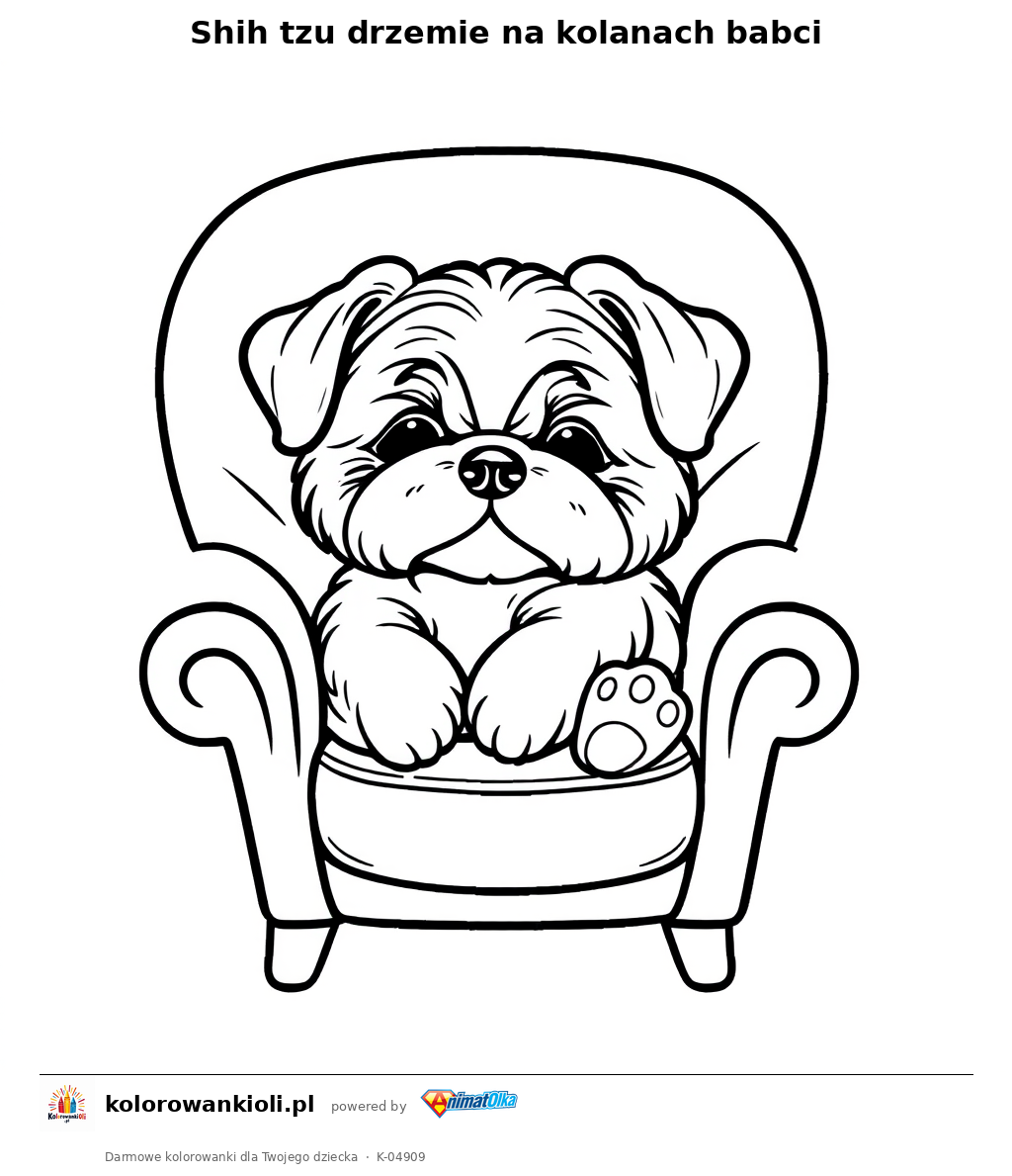 Shih tzu drzemie na kolanach babci — kolorowanka do wydruku dla dzieci