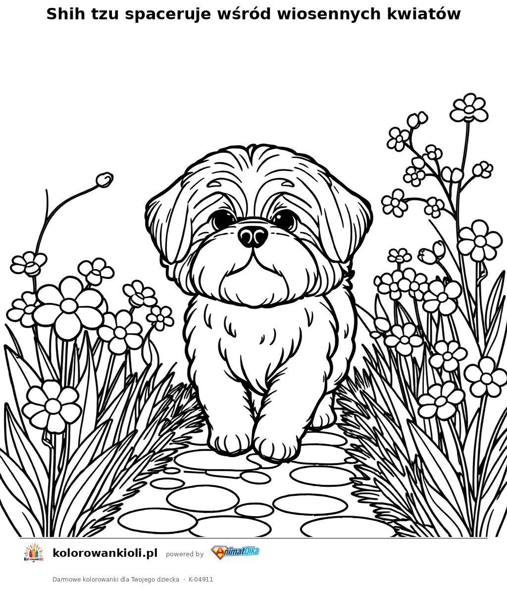 Shih tzu spaceruje wśród wiosennych kwiatów — kolorowanka do wydruku dla dzieci