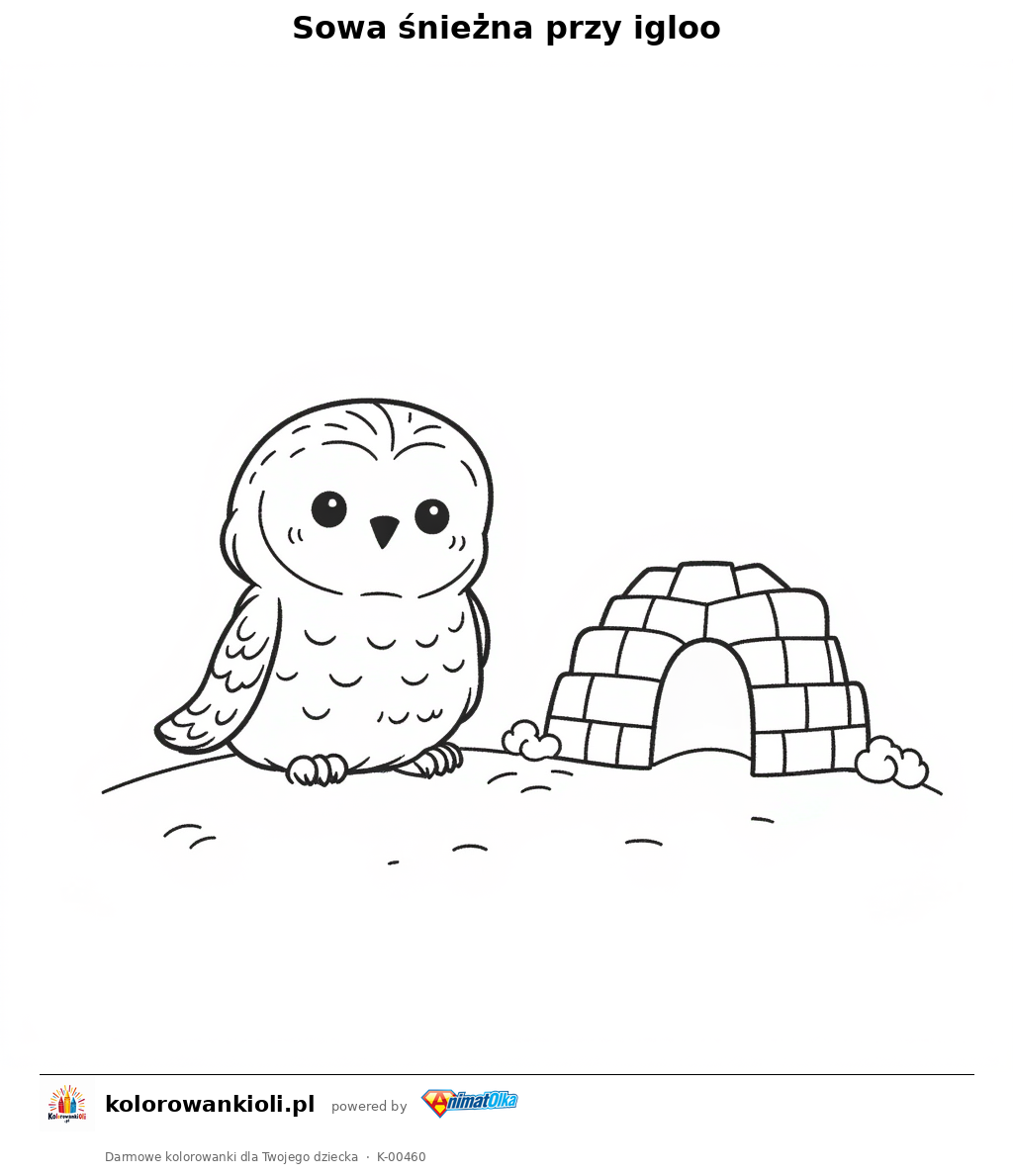 Sowa śnieżna przy igloo — kolorowanka do wydruku dla dzieci