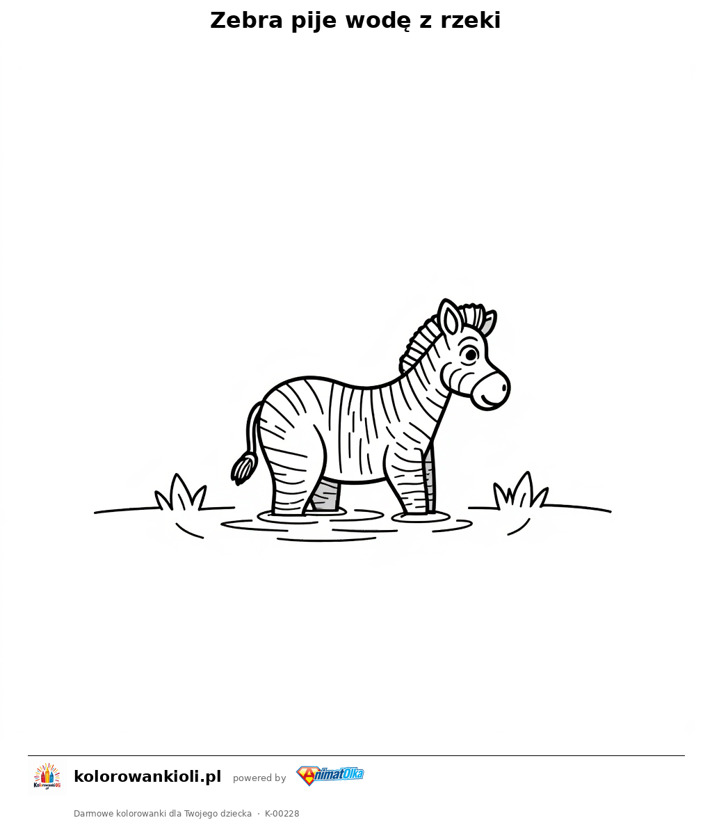 Zebra pije wodę z rzeki — kolorowanka do wydruku dla dzieci