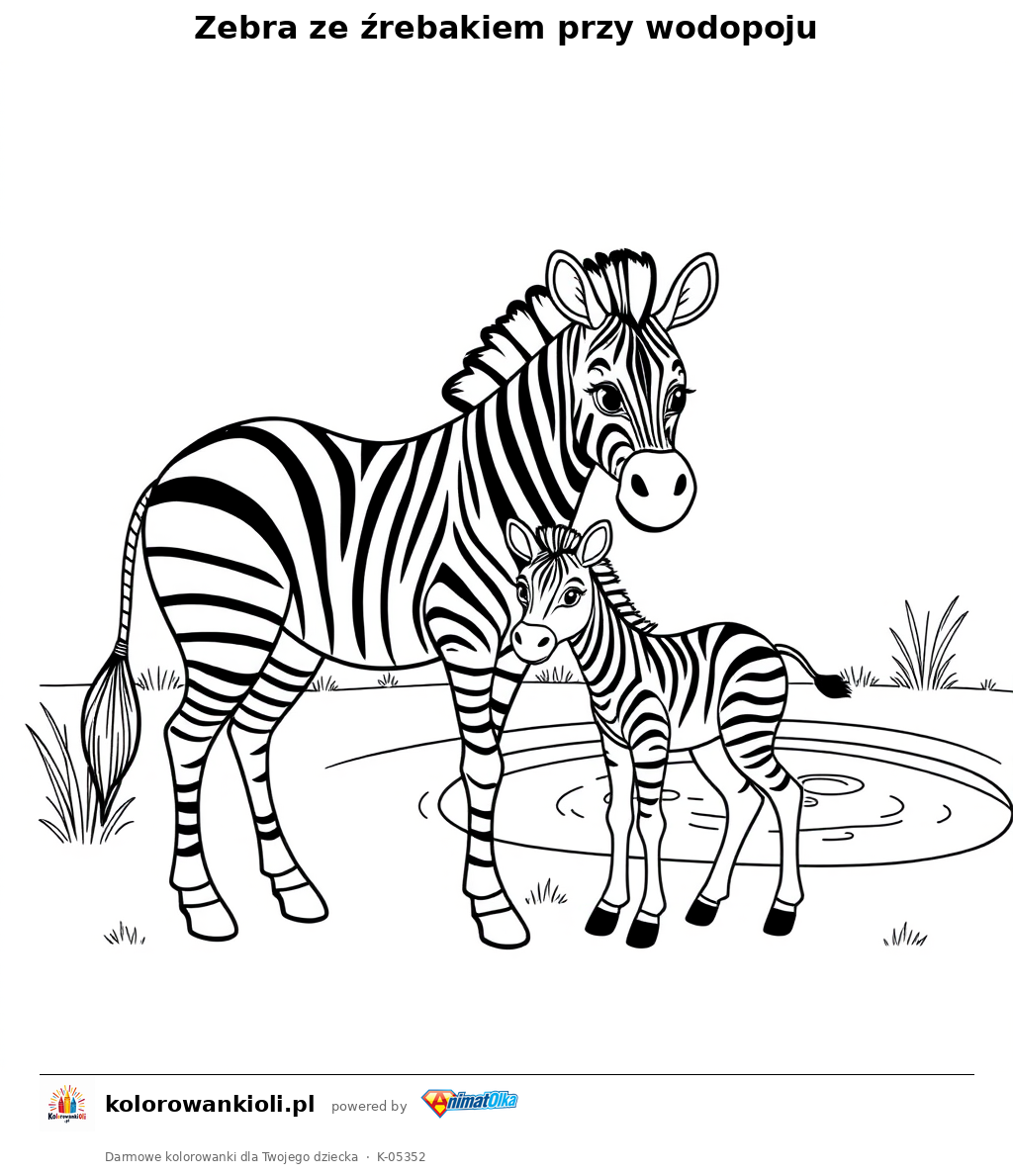 Zebra ze źrebakiem przy wodopoju — kolorowanka do wydruku dla dzieci