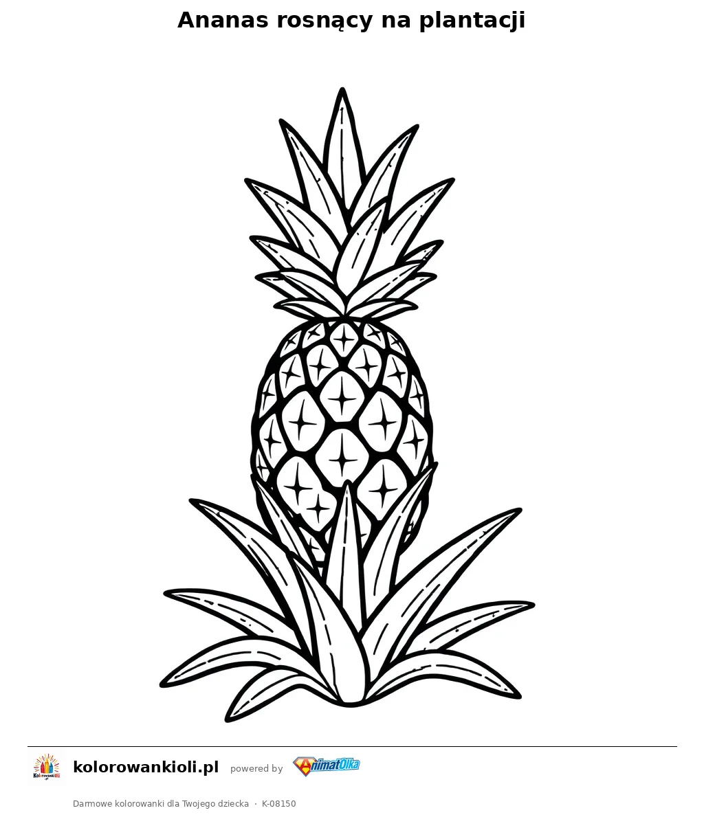 Ananas rosnący na plantacji — kolorowanka do wydruku dla dzieci