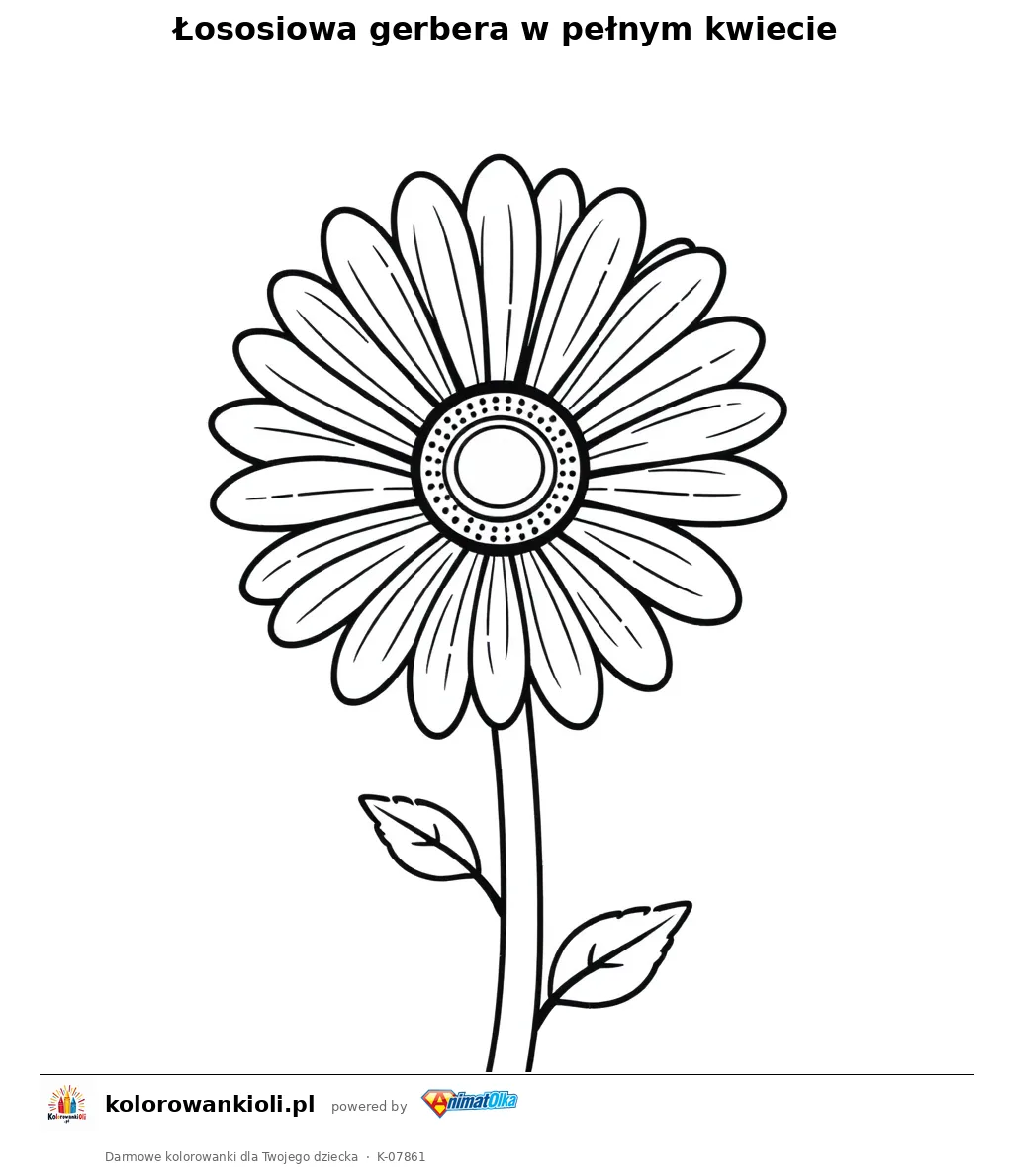 Łososiowa gerbera w pełnym kwiecie — kolorowanka do wydruku dla dzieci