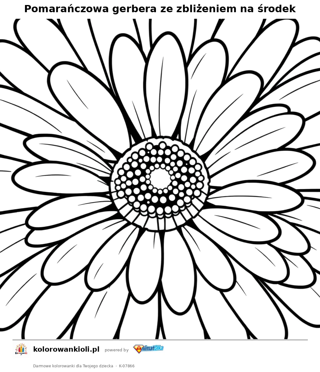 Pomarańczowa gerbera ze zbliżeniem na środek — kolorowanka do wydruku dla dzieci