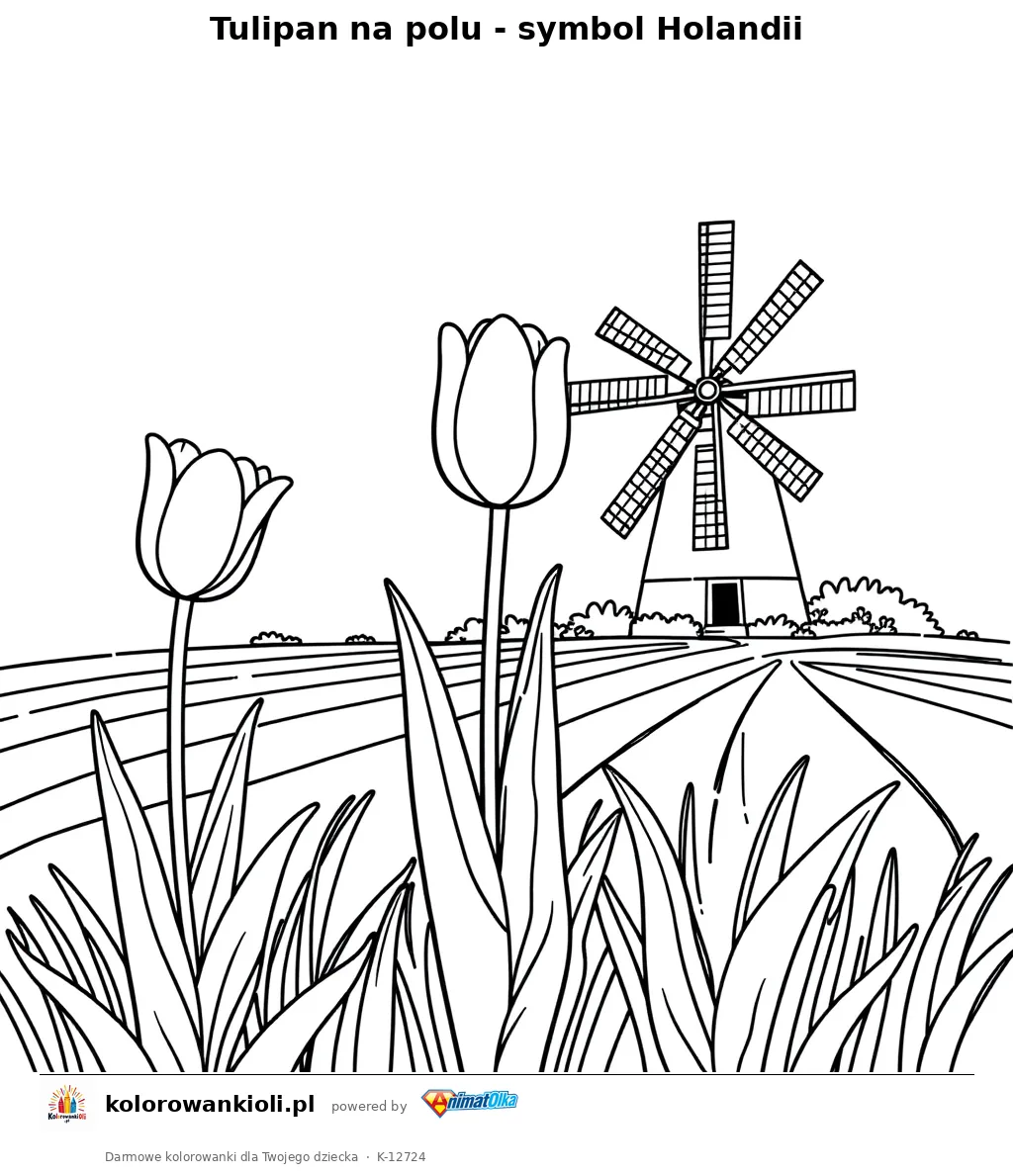 Tulipan na polu - symbol Holandii — kolorowanka do wydruku dla dzieci