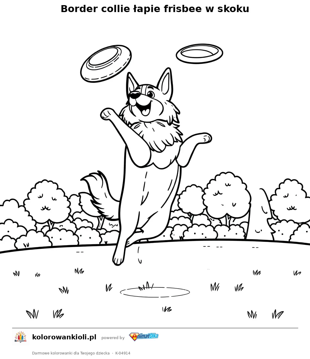 Border collie łapie frisbee w skoku — kolorowanka do wydruku dla dzieci