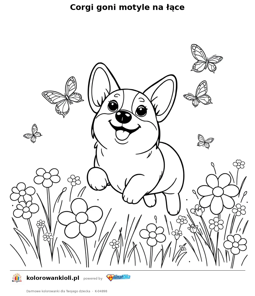 Corgi goni motyle na łące — kolorowanka do wydruku dla dzieci