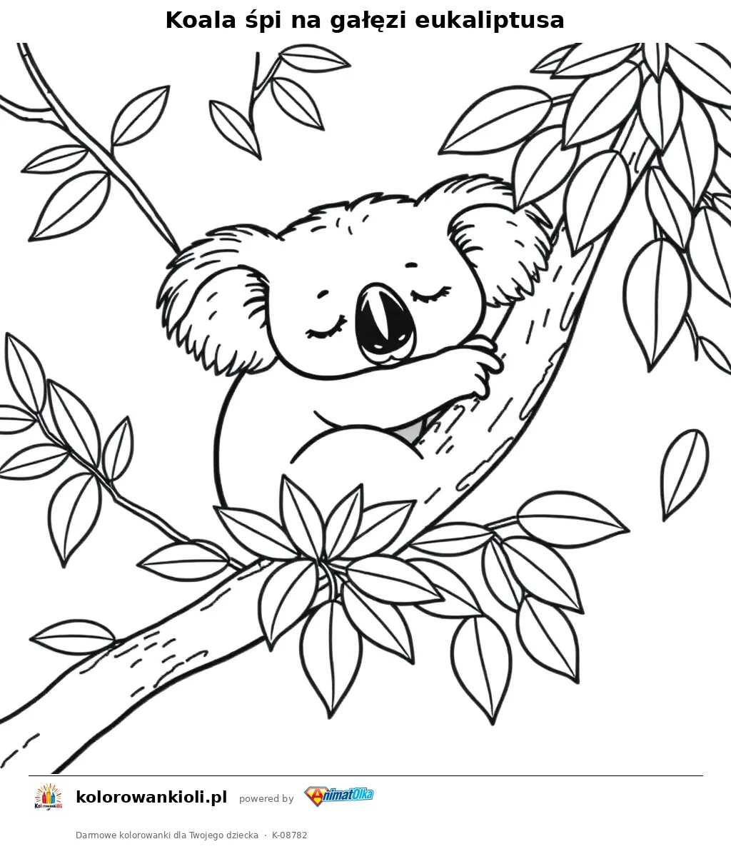Koala śpi na gałęzi eukaliptusa — kolorowanka do wydruku dla dzieci