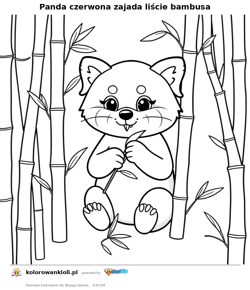 Panda czerwona zajada liście bambusa — kolorowanka do wydruku dla dzieci