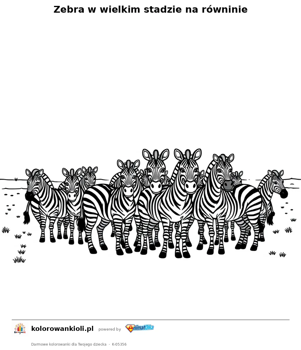 Zebra w wielkim stadzie na równinie — kolorowanka do wydruku dla dzieci
