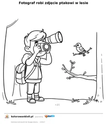 Fotograf robi zdjecie ptakowi w lesie — kolorowanka do wydruku dla dzieci
