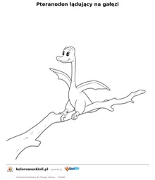 Pteranodon lądujący na gałęzi — kolorowanka do wydruku dla dzieci