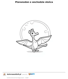 Pteranodon o wschodzie słońca — kolorowanka do wydruku dla dzieci