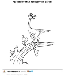 Quetzalcoatlus lądujący na gałęzi — kolorowanka do wydruku dla dzieci