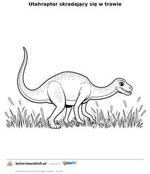 Utahraptor skradający się w trawie — kolorowanka do wydruku dla dzieci