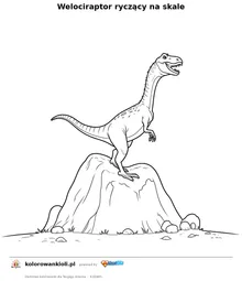 Welociraptor ryczący na skale — kolorowanka do wydruku dla dzieci