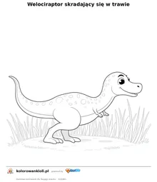 Welociraptor skradający się w trawie — kolorowanka do wydruku dla dzieci