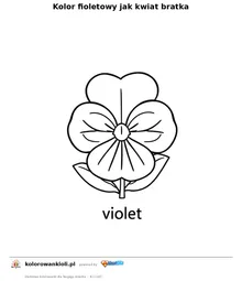 Kolor fioletowy jak kwiat bratka — kolorowanka do wydruku dla dzieci