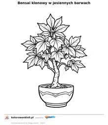Bonsai klonowy w jesiennych barwach — kolorowanka do wydruku dla dzieci