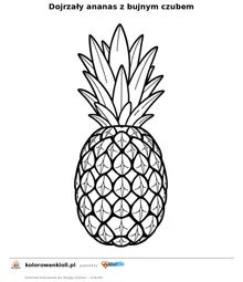 Dojrzały ananas z bujnym czubem — kolorowanka do wydruku dla dzieci