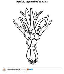 Dymka, czyli młoda cebulka — kolorowanka do wydruku dla dzieci