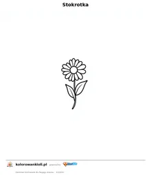 Stokrotka — kolorowanka do wydruku dla dzieci