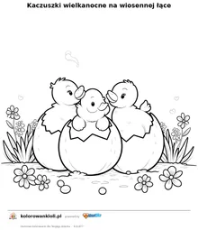 Kaczuszki wielkanocne na wiosennej łące — kolorowanka do wydruku dla dzieci