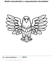 Bielik amerykanski z rozpostartymi skrzydlami — kolorowanka do wydruku dla dzieci