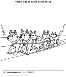 Husky ciagna sanie przez snieg — kolorowanka do wydruku dla dzieci