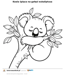 Koala śpiąca na gałęzi eukaliptusa — kolorowanka do wydruku dla dzieci