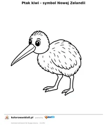 Ptak kiwi - symbol Nowej Zelandii — kolorowanka do wydruku dla dzieci
