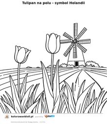 Tulipan na polu - symbol Holandii — kolorowanka do wydruku dla dzieci