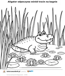 Aligator odpoczywa wśród trzcin na bagnie — kolorowanka do wydruku dla dzieci