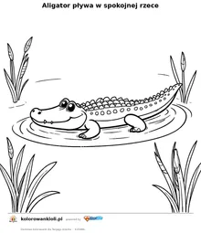 Aligator pływa w spokojnej rzece — kolorowanka do wydruku dla dzieci