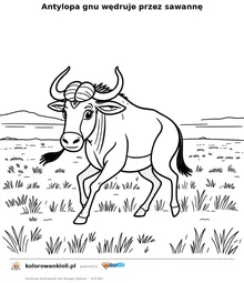 Antylopa gnu wędruje przez sawannę — kolorowanka do wydruku dla dzieci