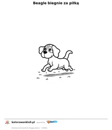 Beagle biegnie za piłką — kolorowanka do wydruku dla dzieci